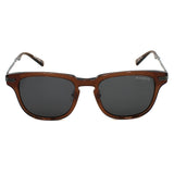 日本正規品 BLACK FLYS SUNGLASSES BF-15506-04 GREY CLEAR BROWN SILVER ブラックフライズ サングラス ノーズパッド 眼鏡 UVカット 紫外線カット メンズ レディース グレー クリアブラウン シルバー