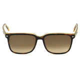 ZEGNA SUNGLASSES EZ0062 56F 56 HAVANA CLEAR BROWN ゼニア サングラス グローバルモデル UVカット 紫外線カット メンズ ハバナ クリア ブラウン