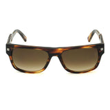 ZEGNA SUNGLASSES EZ0090F 50J 52 BROWN STRIPE HAVANA ゼニア サングラス UVカット 紫外線カット メンズ ブラウン ストライプ ハバナ