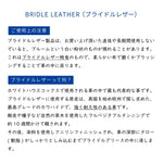 WHITEHOUSE COX BRIDLE LEATHER LONG WALLET S9697L NEWTON ホワイトハウスコックス ブライドルレザー ロング ウォレット 長財布 ニュートン